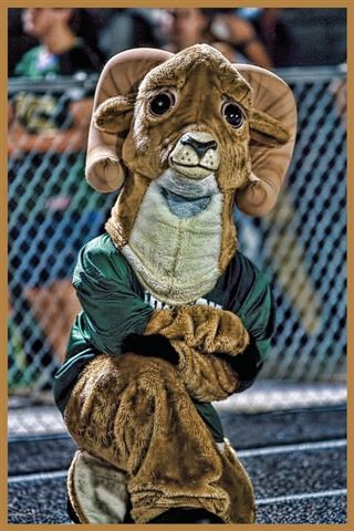 Ram mascot at a football game